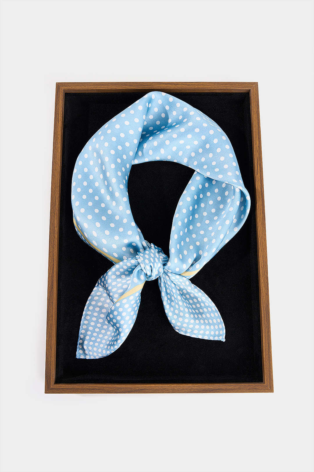 Polka Dots Scarf